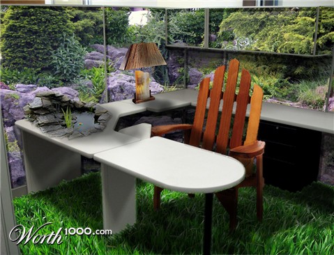 Photoshop Design by designereye