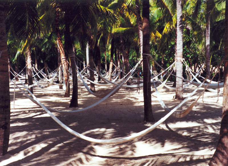 Photography by sausirhi for DesignCrowd (Community Contests) | Design #8953452