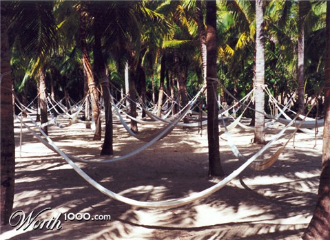 Photography by sausirhi