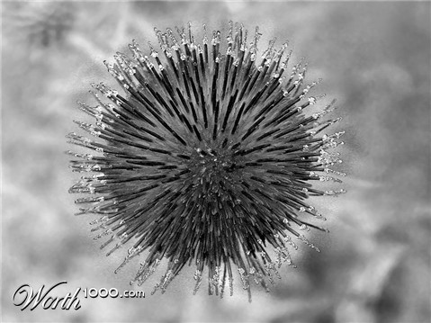 Photography by shanethemainman