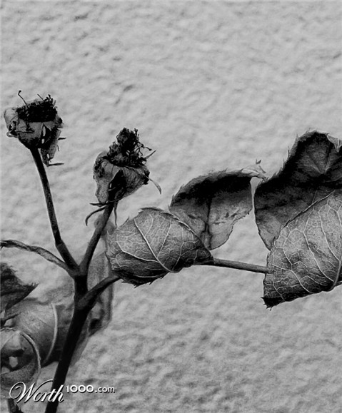 Photography by Funkiote