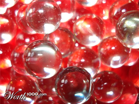 Photography by thebrownsofa