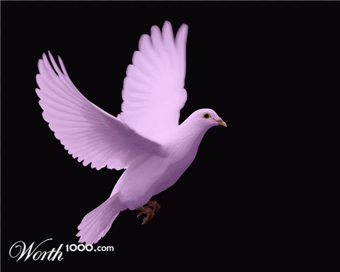Photoshop Design by jojogal