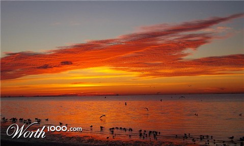 Photography by AeroIguana