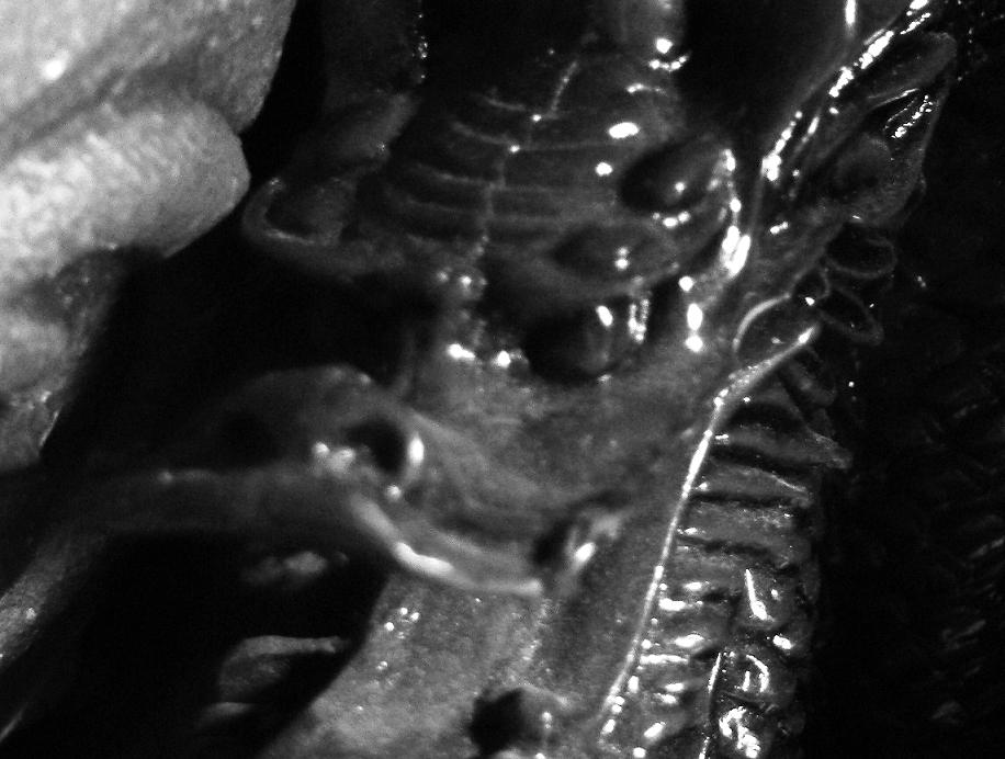 Photography by mahkjl for DesignCrowd (Community Contests) | Design #8956969