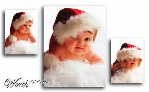 Photography by fujiellena