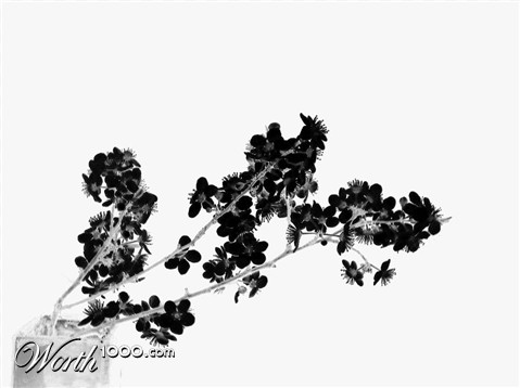 Photography by blackeyedgirl