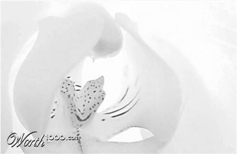 Photography by Berilu