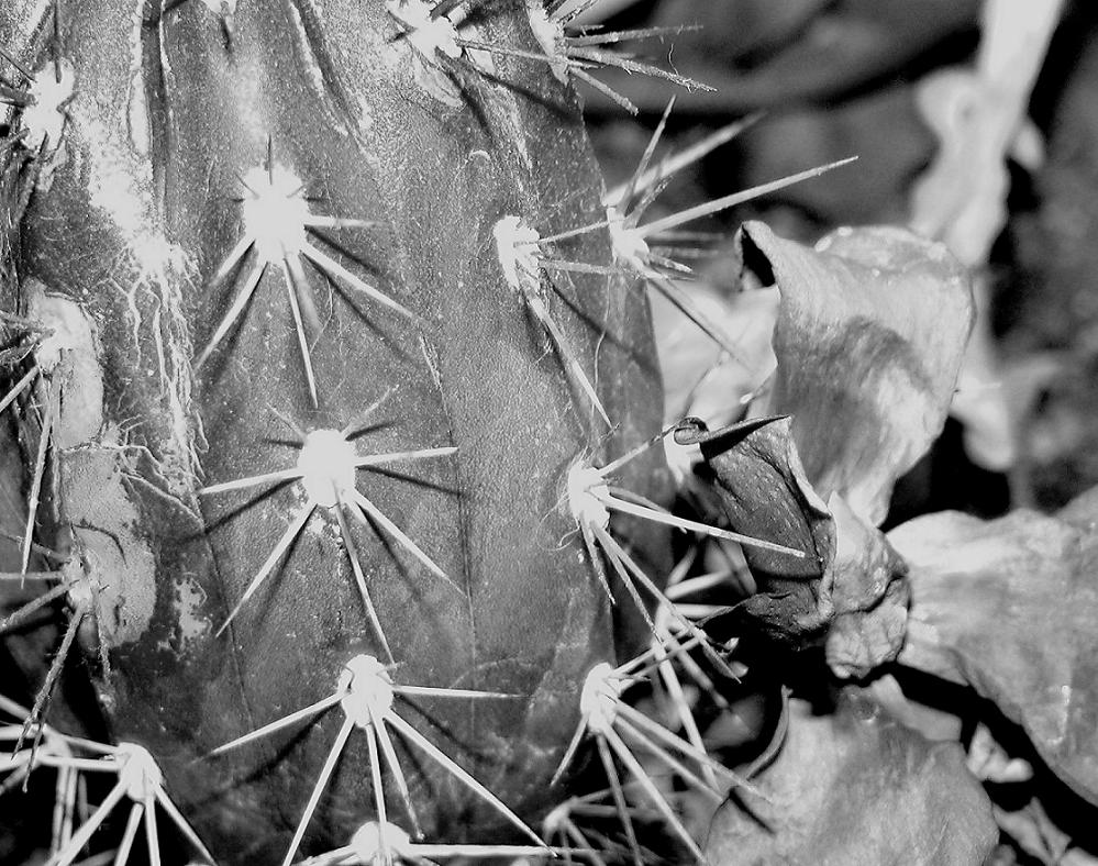 Photography by mahkjl for DesignCrowd (Community Contests) | Design #8956057