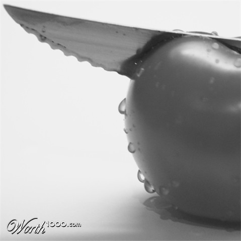 Photography by Preetn