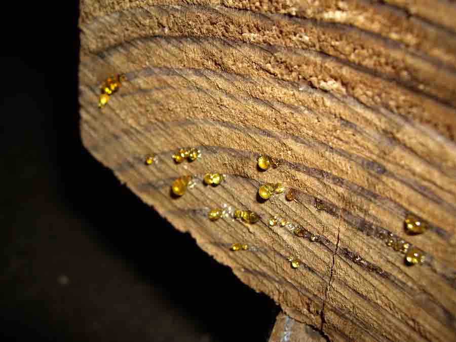 Photography by miriamsc for DesignCrowd (Community Contests) | Design #8952413