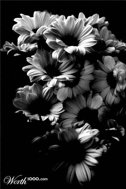 Photography by NikiLawrence