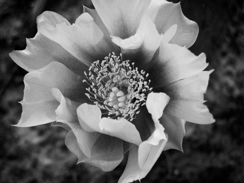 Photographie par zsomeone pour DesignCrowd (Community Contests) | Design #8956044