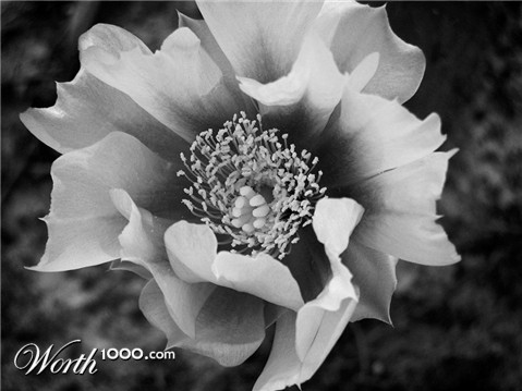 Photography by zsomeone