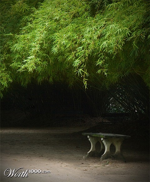 Photography by Pr4ktic