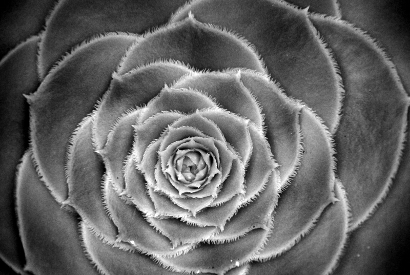 Photography by nzkiwi for DesignCrowd (Community Contests) | Design #8956126