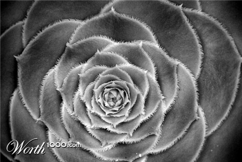 Photography by nzkiwi