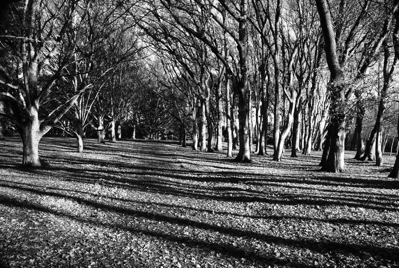 Photography by nzkiwi for DesignCrowd (Community Contests) | Design #8955043