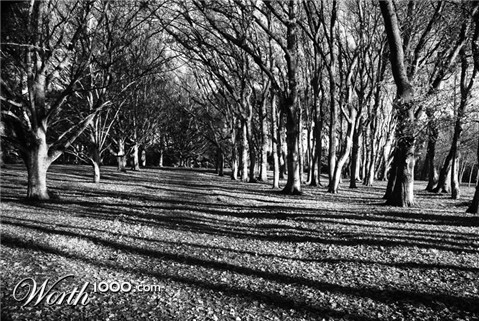 Photography by nzkiwi