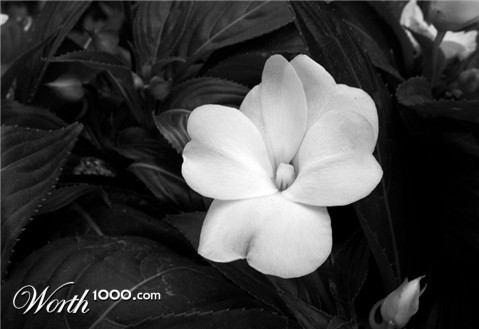 Photography by rebeccatroy