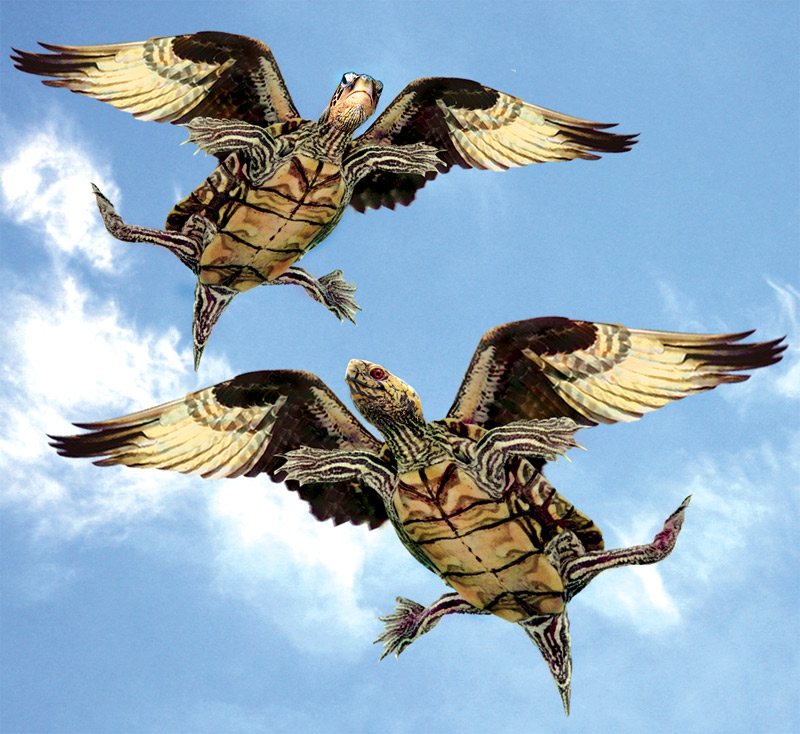 Diseño de Photoshop por Mandrak para DesignCrowd (Community Contests) | Diseño #8951318