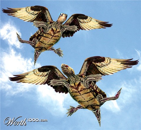 Photoshop Design by Mandrak