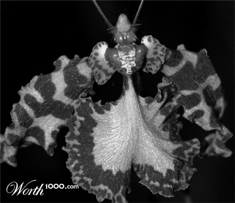 Photography by margold