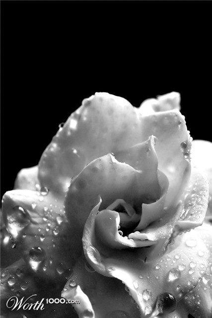 Photography by Isabella2006