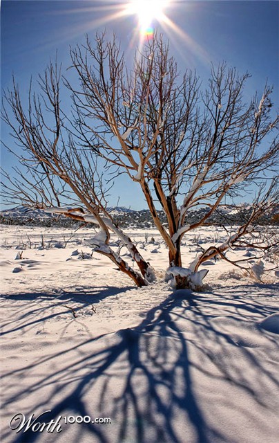 Photography by avbowler