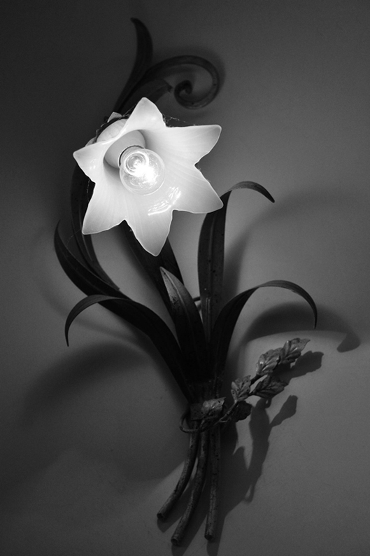 Fotografía por toscio para DesignCrowd (Community Contests) | Diseño #8955100