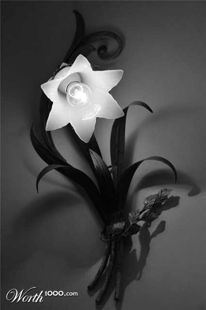 Photography by toscio