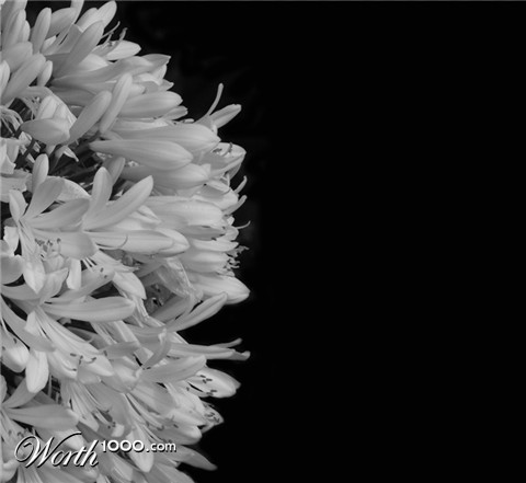 Photography by VikiBond