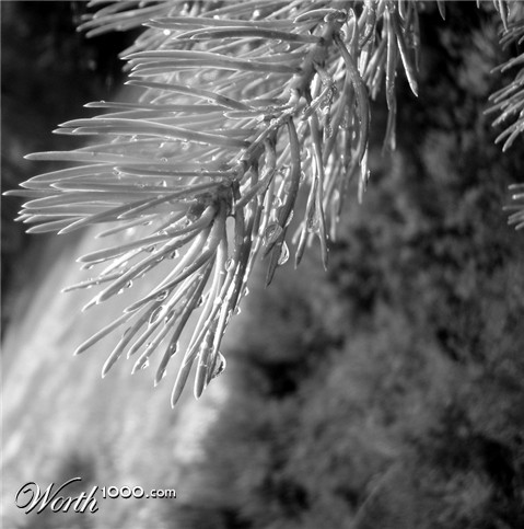 Photography by Zahrec