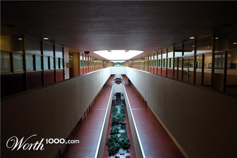 Photography by ljvgtj