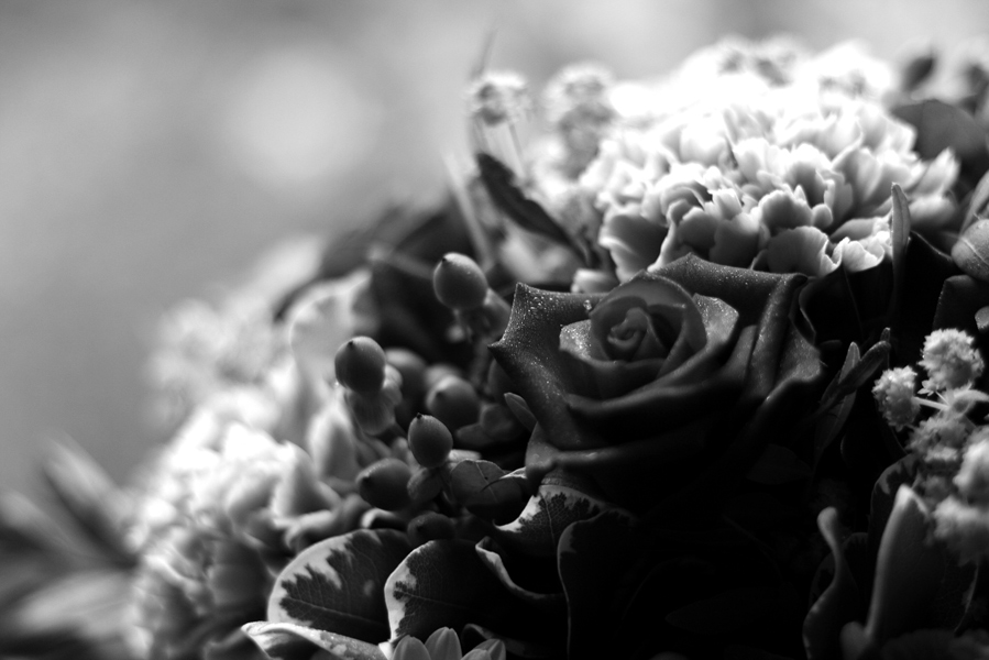 Photography by eshana for DesignCrowd (Community Contests) | Design #8956116