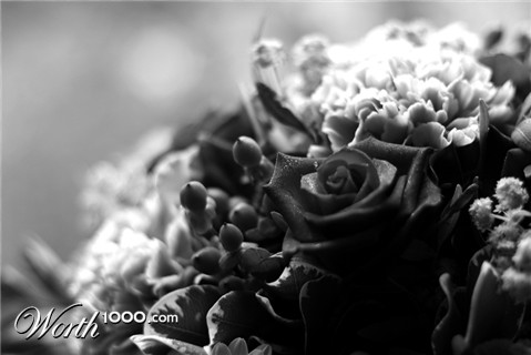 Photography by eshana