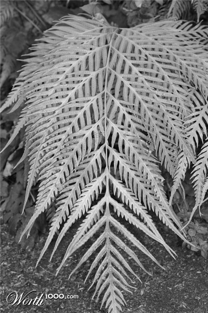 Photography by jviper360