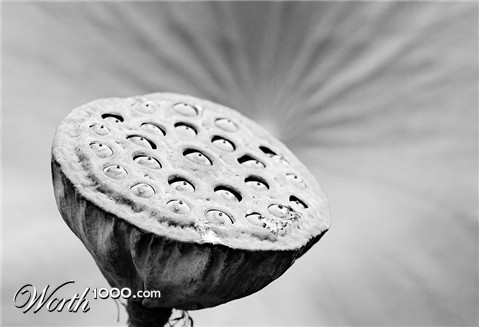 Photography by Pr4ktic