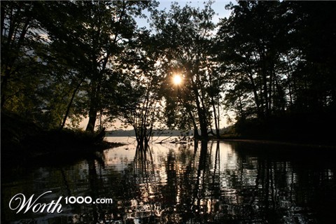 Photography by suram8456