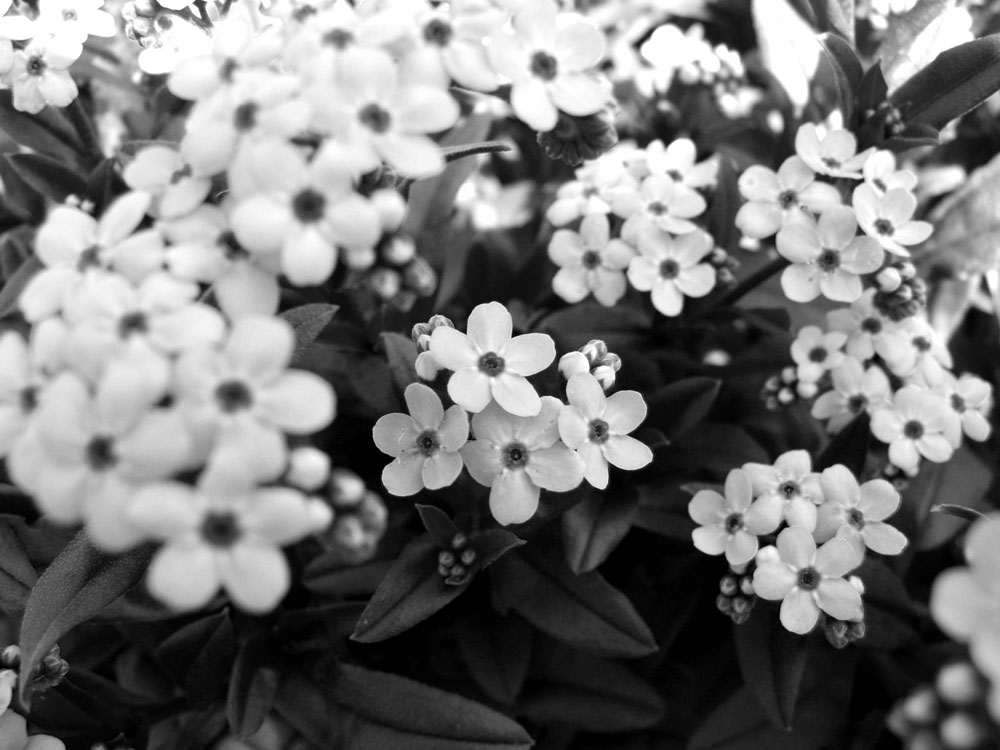 Photography by Isengard340 for DesignCrowd (Community Contests) | Design #8956095