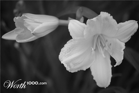 Photography by Sam1968