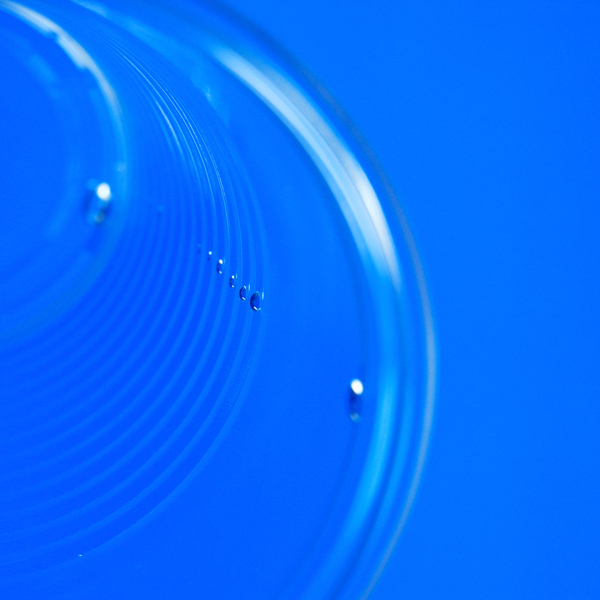 Photography by somebodyhere for DesignCrowd (Community Contests) | Design #8952446