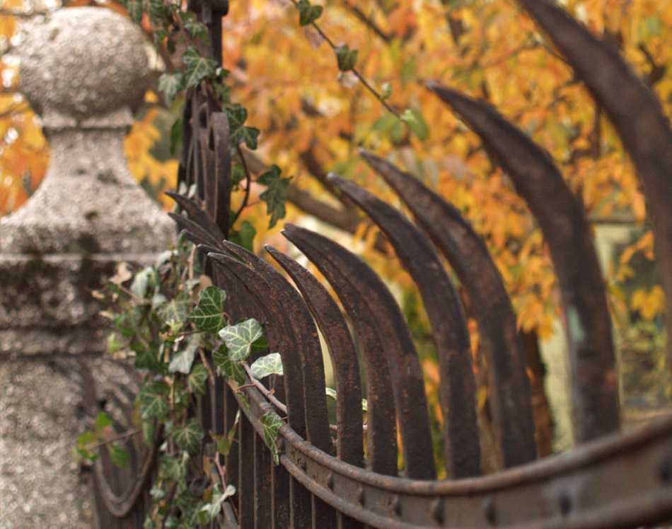 Photography by redcats for DesignCrowd (Community Contests) | Design #8952489