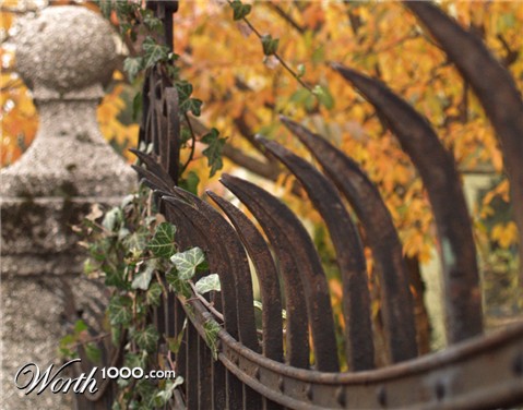 Photography by redcats