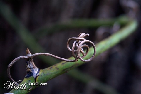 Photography by rebeccatroy