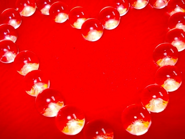 Fotografía por thebrownsofa para DesignCrowd (Community Contests) | Diseño #8952509