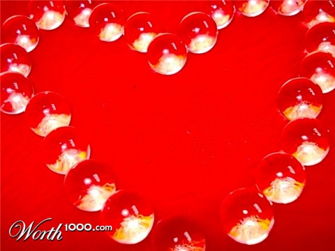 Photography by thebrownsofa