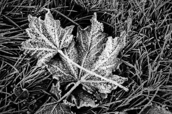 Photography by arquiwhat for DesignCrowd (Community Contests) | Design #8956237