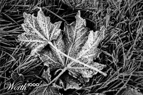 Photography by arquiwhat