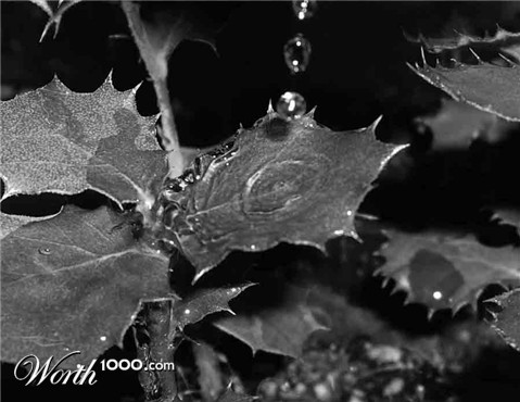 Photography by miriamsc